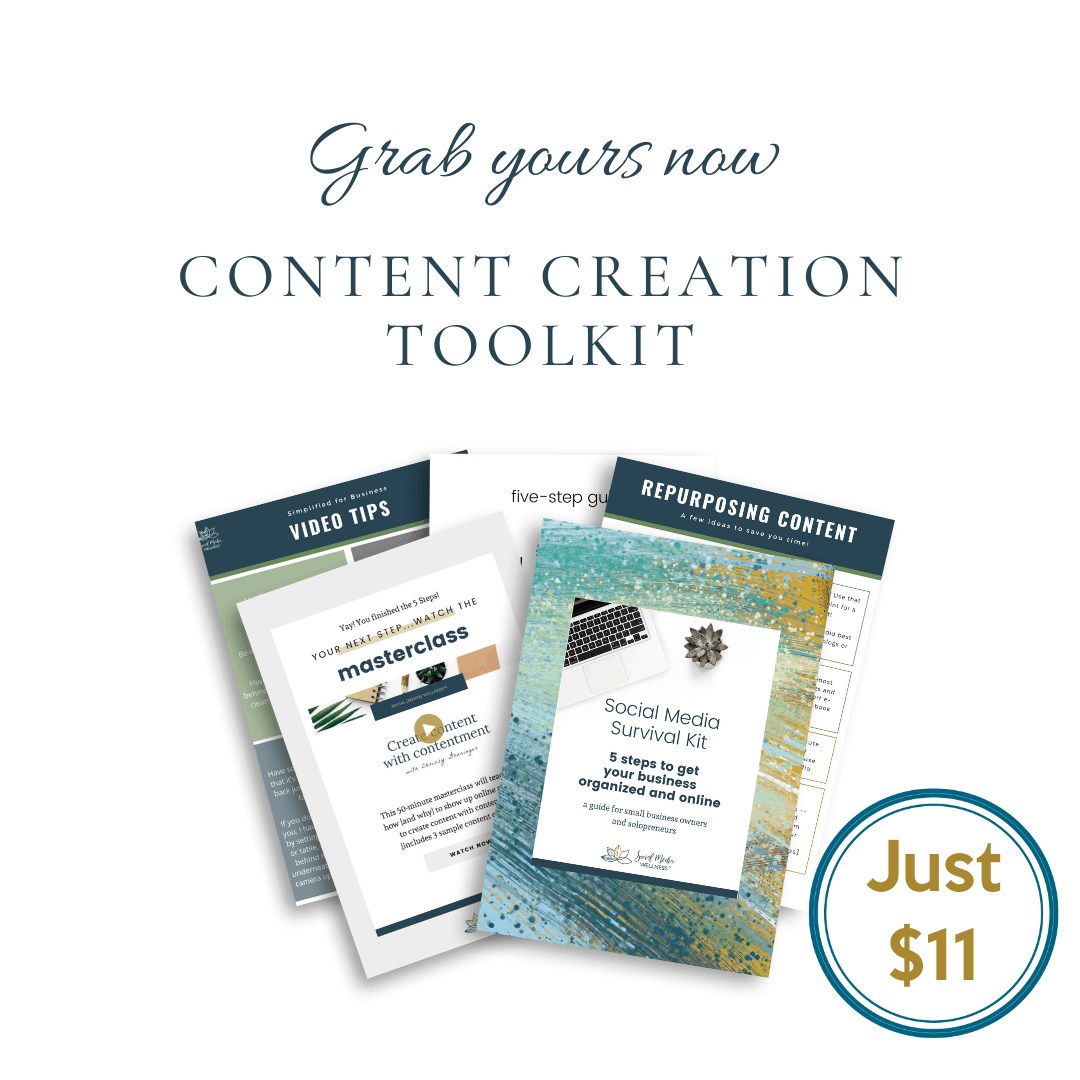 Lead magnet toolkit Instagram posts(4)